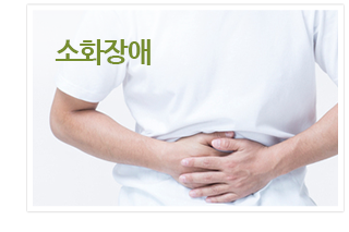 소화장애 